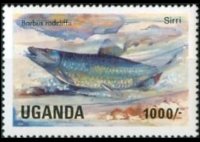 Uganda 1985 - set Fishes: 1000 sh