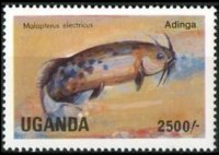Uganda 1985 - set Fishes: 2500 sh