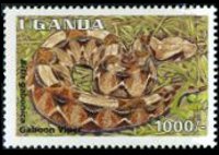 Uganda 1995 - set Reptiles: 1000 sh