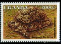 Uganda 1995 - set Reptiles: 3000 sh
