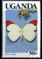 Uganda 1989 - set Butterflies: 50 sh