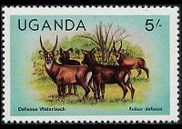 Uganda 1979 - set Wildlife: 5 sh