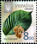 Ucraina 2012 - serie Alberi: 8 h