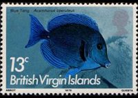 Isole Vergini britanniche 1975 - serie Pesci: 13 c