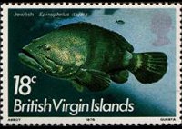 Isole Vergini britanniche 1975 - serie Pesci: 18 c