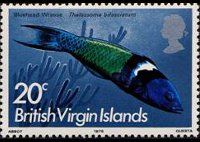 Isole Vergini britanniche 1975 - serie Pesci: 20 c