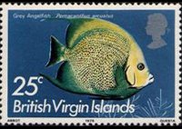 Isole Vergini britanniche 1975 - serie Pesci: 25 c