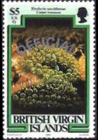 British Virgin Islands 1985 - set Marin life: 5 $