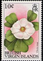 British Virgin Islands 1991 - set Flowers: 10 c