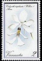 Vanuatu 1982 - serie Orchidee: 2 v
