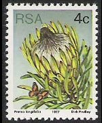 Sudafrica 1977 - serie Proteaceae: 4 c