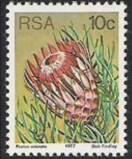 South Africa 1977 - set Proteaceae: 10 c