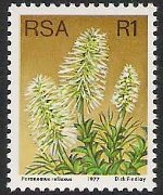 Sudafrica 1977 - serie Proteaceae: 1 r
