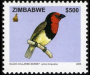 Zimbabwe 2005 - serie Uccelli: 500 $
