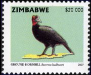 Zimbabwe 2005 - serie Uccelli: 20000 $