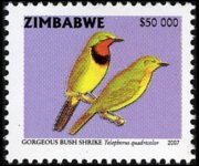 Zimbabwe 2005 - serie Uccelli: 50000 $
