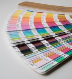 Pantone di colori