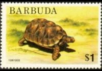 Barbuda 1974 - serie Motivi locali: 1 $