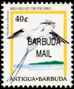 Barbuda 1996 - serie Uccelli: 40 c