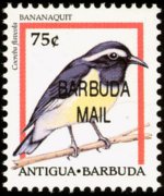 Barbuda 1996 - serie Uccelli: 75 c