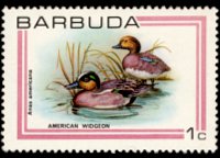 Barbuda 1980 - serie Uccelli: 1 c