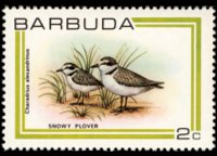 Barbuda 1980 - serie Uccelli: 2 c