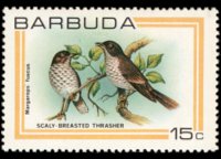 Barbuda 1980 - serie Uccelli: 15 c