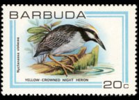 Barbuda 1980 - serie Uccelli: 20 c