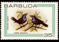 Barbuda 1980 - serie Uccelli: 35 c