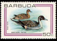 Barbuda 1980 - serie Uccelli: 50 c