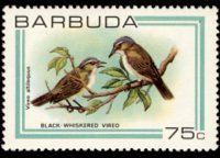 Barbuda 1980 - serie Uccelli: 75 c