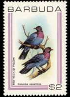 Barbuda 1980 - serie Uccelli: 2 $