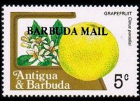 Barbuda 1983 - serie Frutti: 5 c