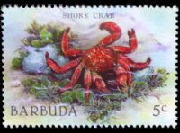 Barbuda 1987 - serie Vita marina: 5 c