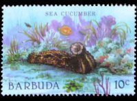 Barbuda 1987 - serie Vita marina: 10 c