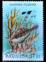 Barbuda 1987 - serie Vita marina: 1,25 $