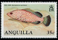 Anguilla 1990 - serie Pesci: 35 c