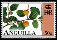 Anguilla 1997 - serie Frutta: 50 c