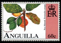 Anguilla 1997 - serie Frutta: 60 c