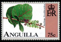 Anguilla 1997 - serie Frutta: 75 c