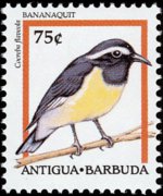 Antigua e Barbuda 1995 - serie Uccelli: 75 c
