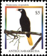 Antigua e Barbuda 1995 - serie Uccelli: 5 $