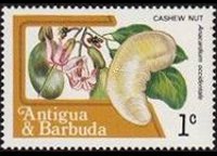 Antigua e Barbuda 1983 - serie Frutti: 1 c
