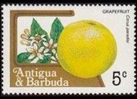 Antigua e Barbuda 1983 - serie Frutti: 5 c