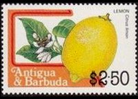 Antigua e Barbuda 1983 - serie Frutti: 2,50 $