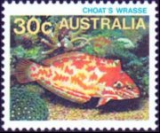 Australia 1984 - serie Vita marina: 30 c