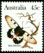 Australia 1983 - serie Farfalle: 45 c