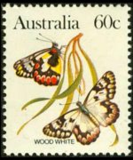 Australia 1983 - serie Farfalle: 60 c