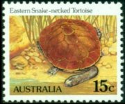 Australia 1982 - serie Rettili e anfibi: 15 c