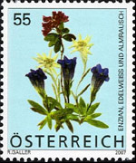 Austria 2007 - serie Fiori: 0,55 €